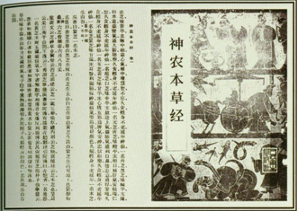 Sheng Nong harvest Lingzhi (one of the ancestors of Chinese civilization, harvesting lingzhi