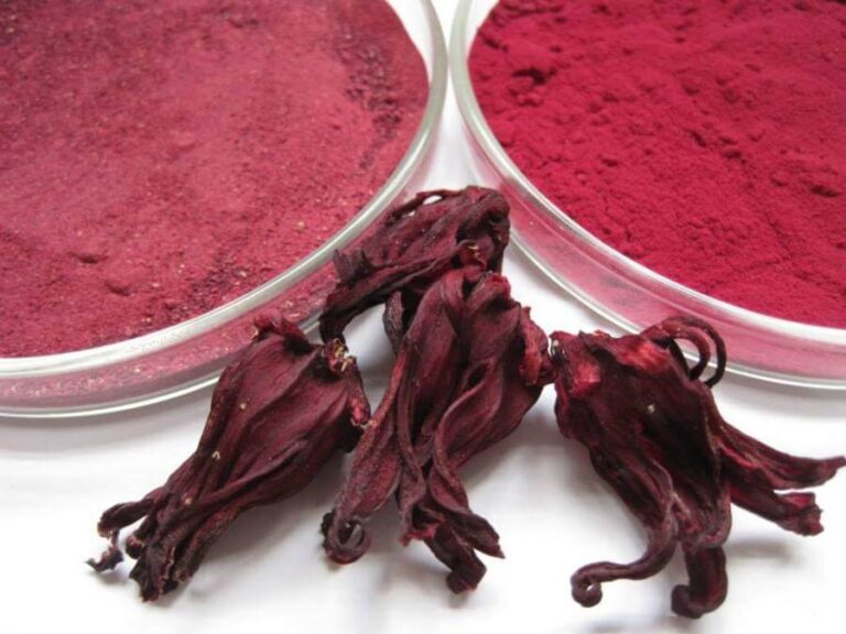Harvesting, processing and drying organic roselle