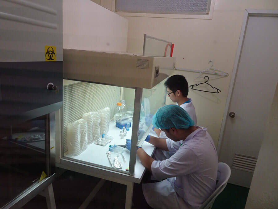 Herbanext Biosafety cabinet and laminar flow hood