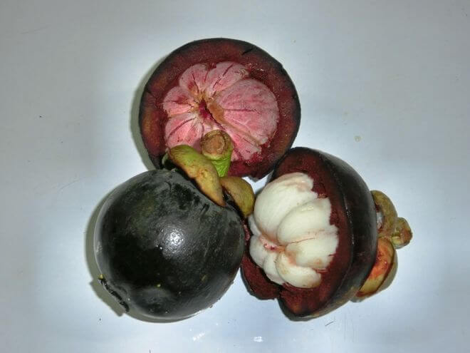 Philippine Medicinal herb Mangosteen/Mangostin