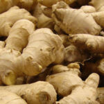 Philippine Medicinal herb Ginger/Luya