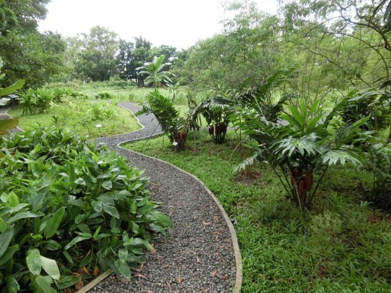 Herbanext Botanical Garden