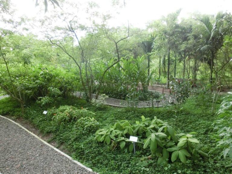 Herbanext Botanical Garden