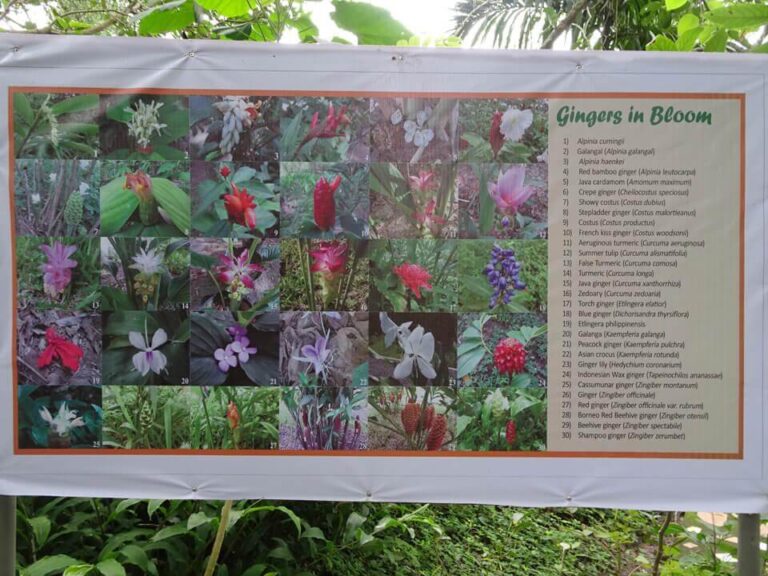 Herbanext Botanical Garden