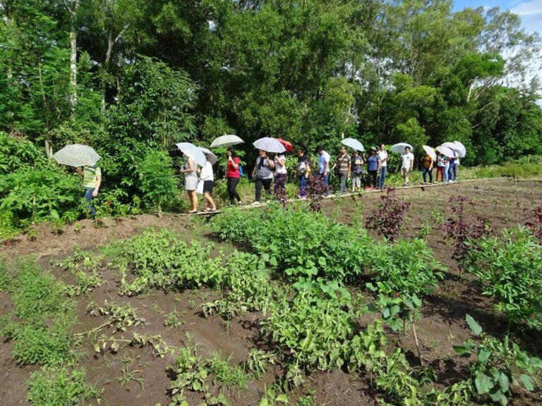 Herbanext Botanical Garden