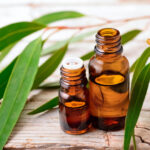 Essential Oils & Herbal Oil Infusions