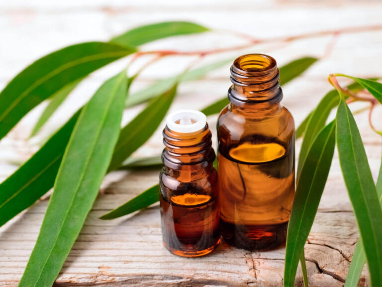 Herbal Ingredient Essential Oils & Herbal Oil Infusions