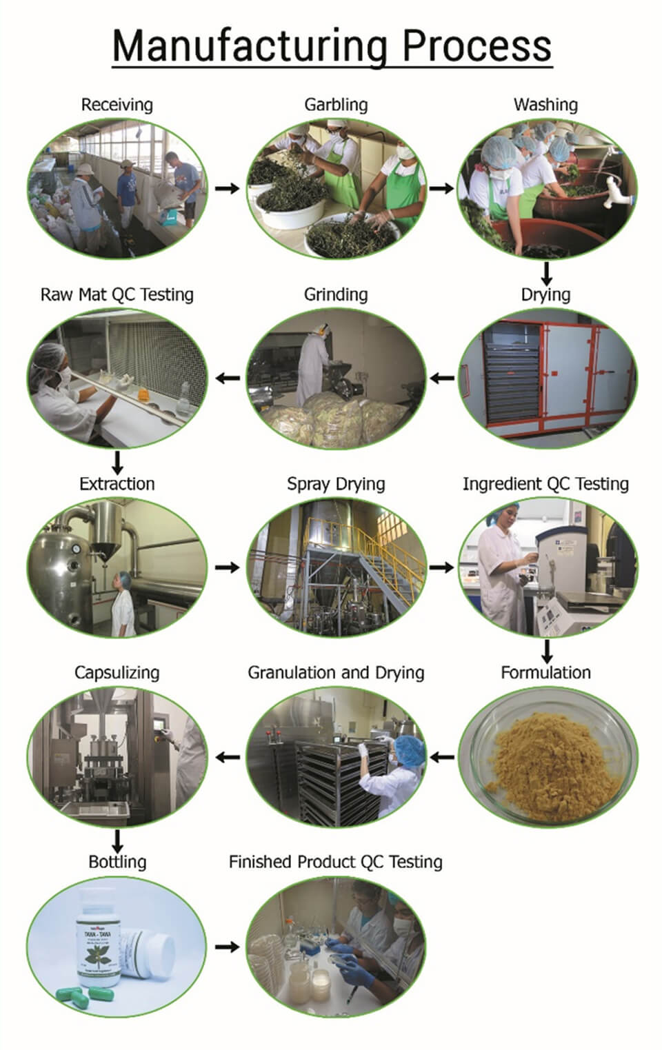 Herbanext Tawa-tawa Manufacturing Process