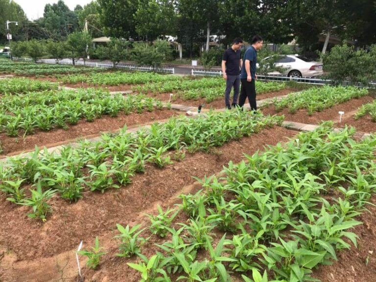 Herbanext Lab visited incubation and scale-up facility of one of the top universities in China - Huazhong University of Science and Technology in Wuhan